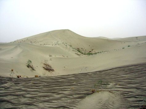 Taklamakan Desert (Wikimedia Commons)