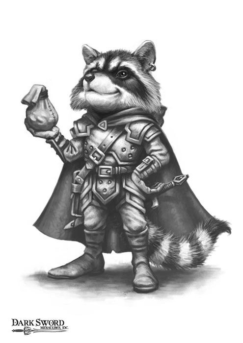 raccoon thief